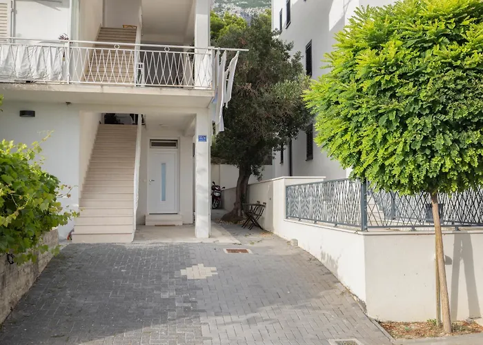 Bulbuli Макарска